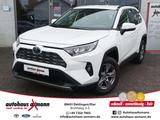 Toyota RAV 4 2.5 4x2 Hybrid Business Edition * Kamera - Toyota RAV 4 Tageszulassungen
