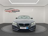 BMW 218d Cabrio Sport Line 1.HAND PDC XEN LED TEMP - BMW Gebrauchtwagen in Regensburg