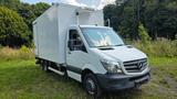 Mercedes-Benz Sprinter 516 CDI Thermoking v 300 Kühlkoffer 5 t - Mercedes-Benz 300cd