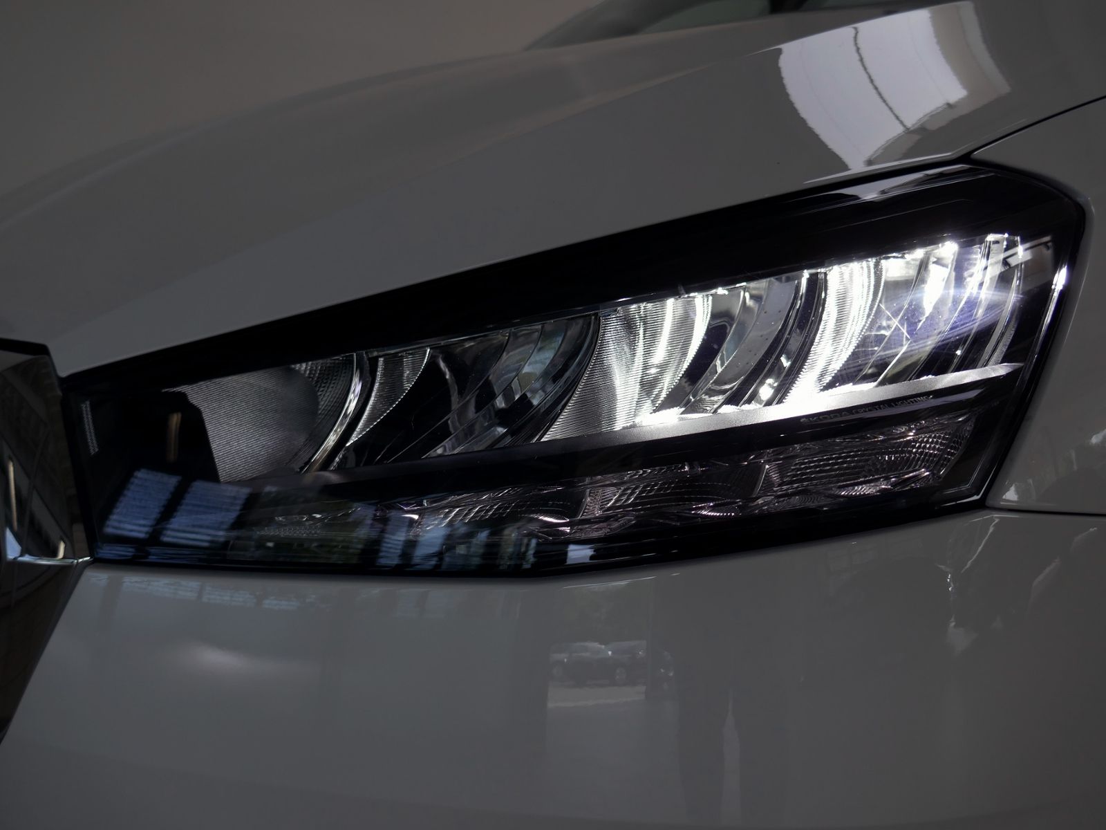 Fahrzeugabbildung SKODA Fabia Selection 1.0 TSI DSG | LED RFK GRA App