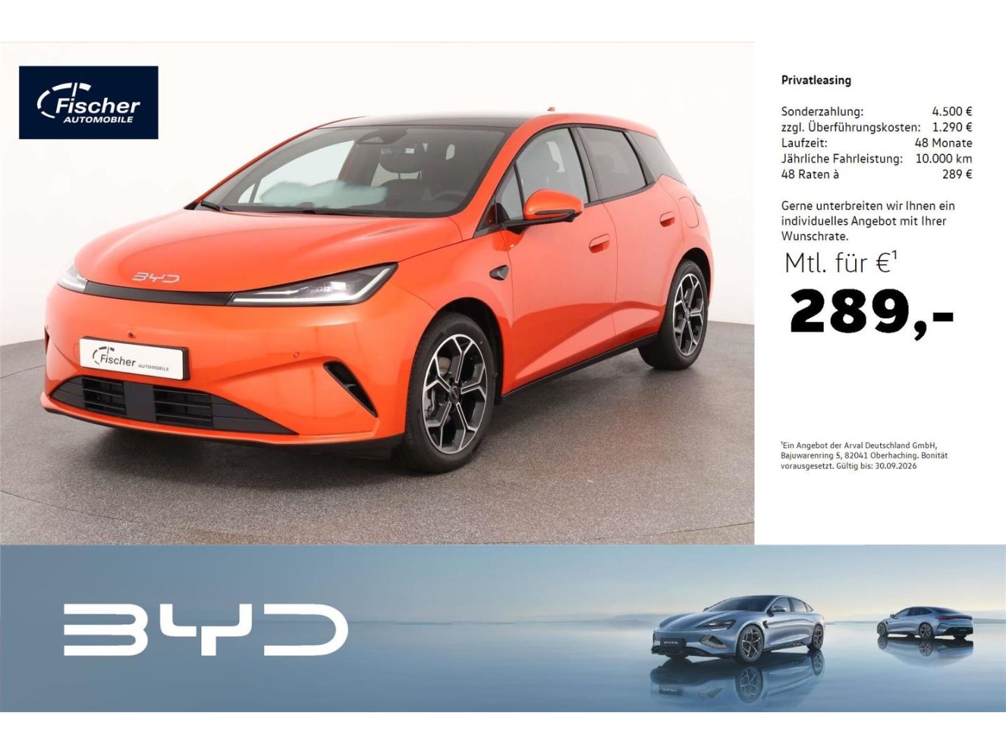 BYD DOLPHIN