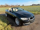BMW 318  Cabrio Exclusiv Navi Xenon !9 Zoll 95tkm - BMW 318: Cabrio
