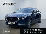 Mazda CX-30 e-SKYACTIV-X 2.0 M HYBR SELECTION *360*BOS - Mazda CX-30 in Bielefeld