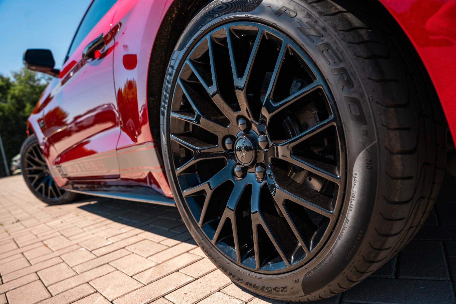 Ford Mustang GT 5,0 Gt 350 SHELBY PREMIUM VOLL