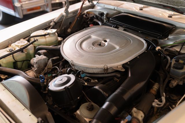 Fahrzeugabbildung Mercedes-Benz SL 560 W107 Cabrio, matching numbers