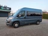 Fiat Ducato Luxusbus Panorama Modular 33 L2H2 9-Sitze - Fiat Ducato: Luxusbus