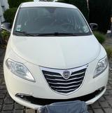 Lancia Ypsilon 0.9 Gold Start&Stopp Gold - Lancia Ypsilon von privat