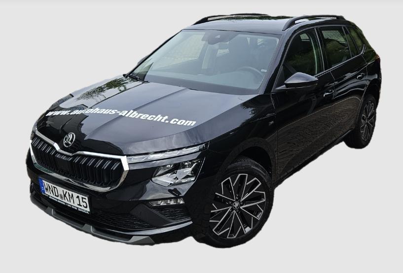 Skoda Kamiq 1.0 TSI Tour Ahk,doppelter Boden,MATRIX,Ka