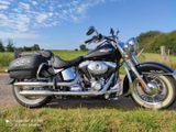 Harley-Davidson FLSTN Softail Deluxe ABS - Offers matching your search criteria