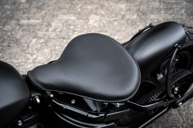 Fahrzeugabbildung Harley-Davidson SOFTAIL STANDARD FXST MY23  - HD KIEL UMBAU -