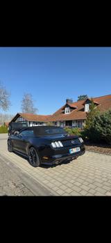 Ford Mustang 5.0 Ti-VCT V8 GT Auto GT - Ford Mustang mit Benzin-Antrieb: Cabrio, 5.0