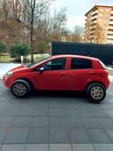 Fiat Punto Young - Fiat Punto: Rot