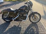 Harley-Davidson XL 1200 Sportster 48 Iron Nightster  Tüv Neu  - HARLEY-DAVIDSON XL 1200N NIGHTSTER