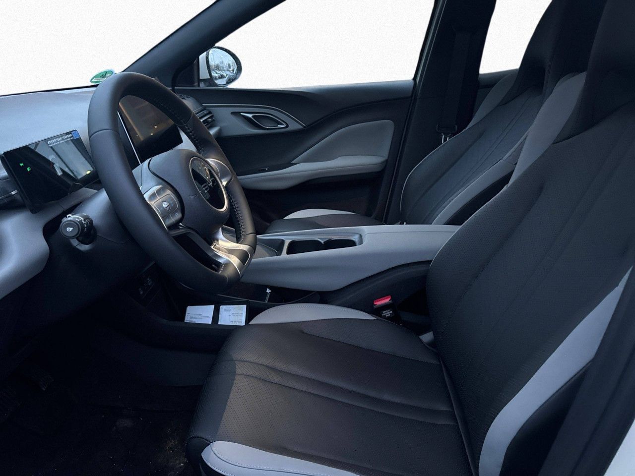 BYD DOLPHIN SURF