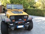 Jeep   JEEP WRANGLER YJ "CATERPILLAR"  5,7 V8 - gebrauchte Jeep Wrangler aus dem Jahr 1994
