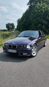 BMW E36 323i M-Paket / Techno Violet / Rar... - BMW 323 aus 1998: 323i