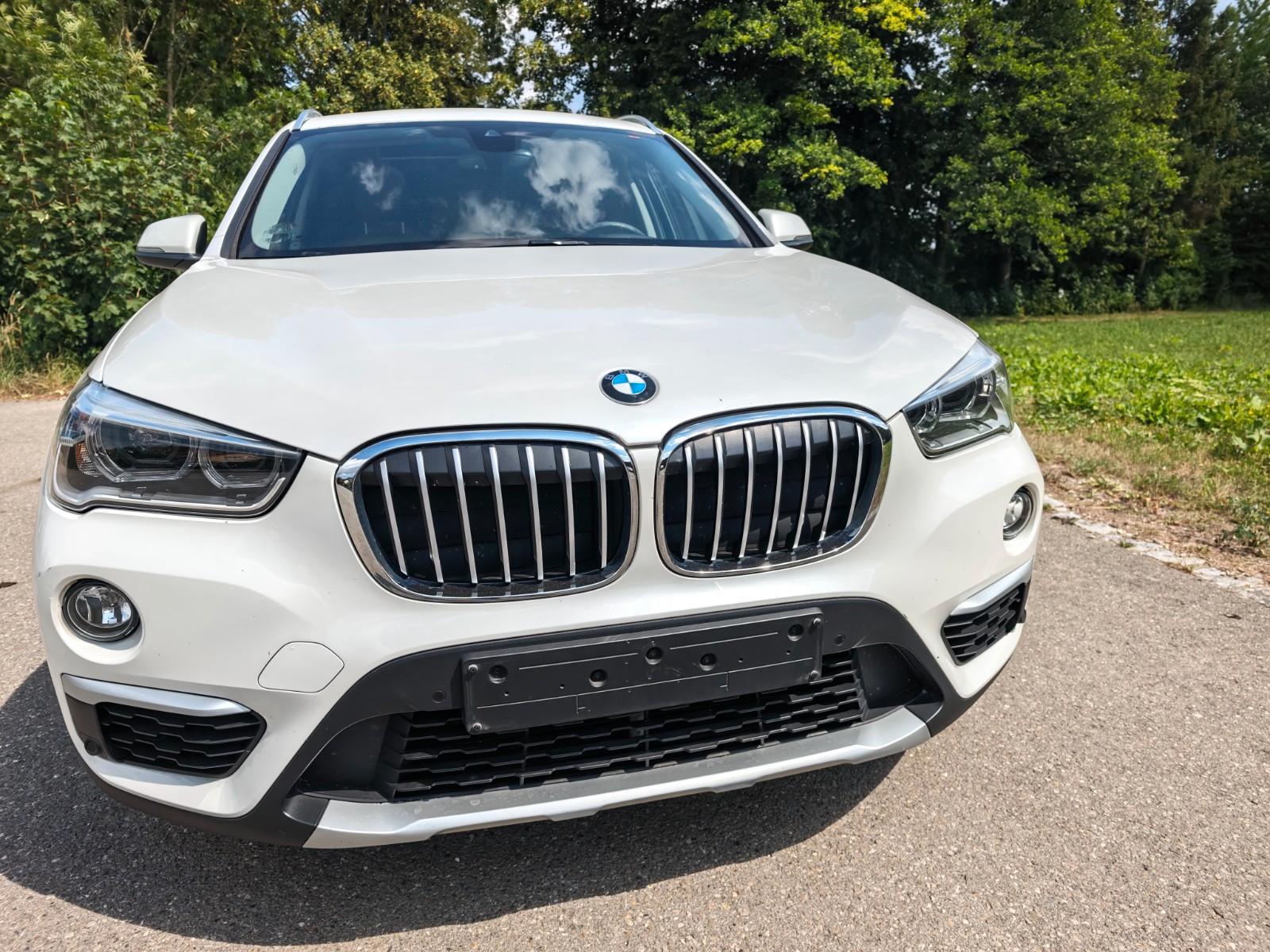 BMW X1 sDrive 18 d xLine Pano Leder ACC AHK