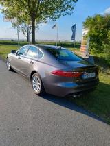 Jaguar XF 20d 180PS Portfolio Automatik Portfolio/PANO - Jaguar XF: 20d