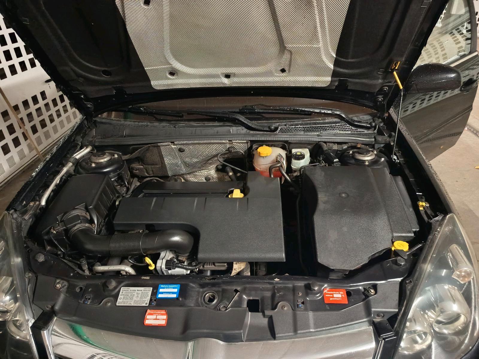 Opel Signum 2007 — photo 8