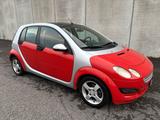 Smart ForFour 1.5 cdi 68CV NEOPATENTATI - Smart ForFour mit Diesel-Antrieb