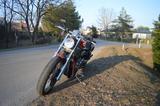 Harley-Davidson VRSCX - HARLEY-DAVIDSON 2007