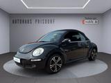 Volkswagen New Beetle Cabriolet 1.6 - Volkswagen New Beetle mit Benzin-Antrieb: Cabrio