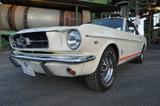 Ford Mustang GT STYLE - V8 mit Automatik    TüV und H - Ford Gebrauchtwagen von 1965