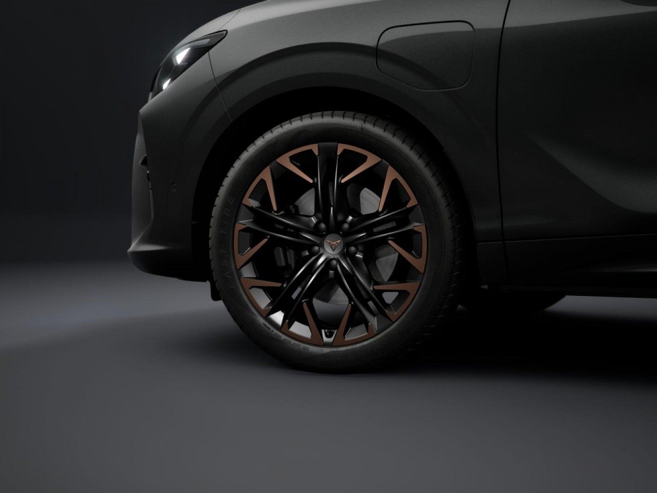 Cupra Terramar - Bild 4