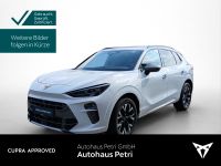 Cupra Terramar - Vorschau Bild 1