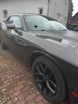Dodge Challenger - gebrauchte Dodge Challenger aus dem Jahr 2020