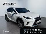 Lexus NX 300h E-FOUR Business Line *LED*ACC*Navi*CAM*S - Lexus: Nx