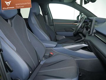 Cupra Terramar - 6