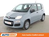 Fiat 1.2 Easy *KLIMA*GARANTIE* - Fiat Panda: 1.1