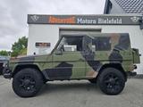 Mercedes-Benz G 250 GD   WOLF    - Mercedes-Benz G-Class: Cabrio