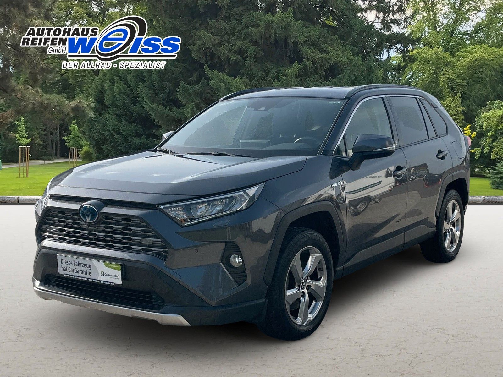 Toyota RAV 4 RAV4 Hybrid 4x4 Team Deutschland