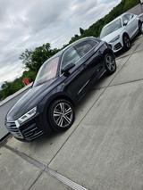 Audi Q5 50 TDI tiptronic quattro sport