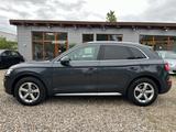 Audi Q5 50 TDI quattro design LEDER* 360°KAMERA* AHK* - Audi Q5 in Kiel