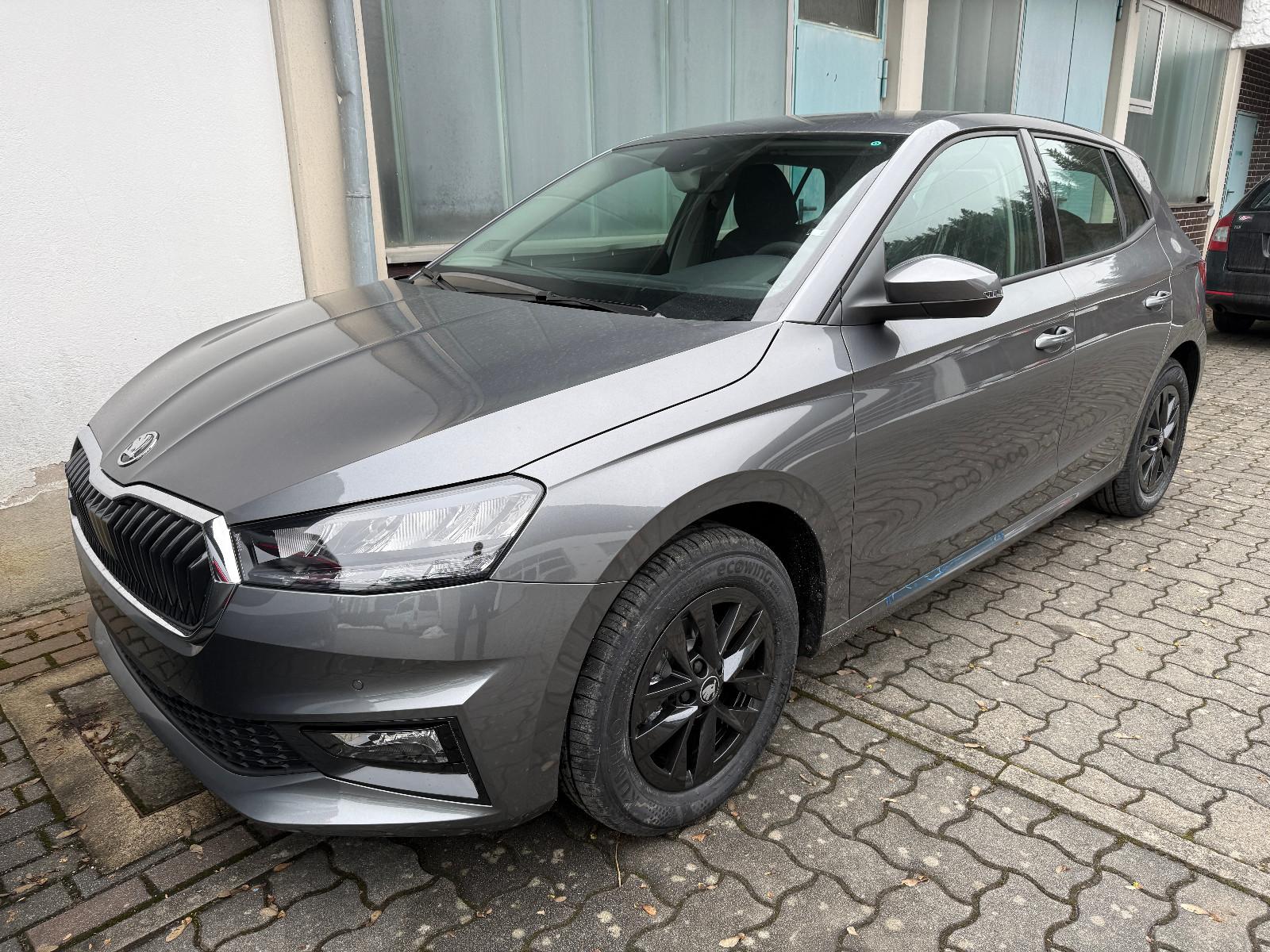 Skoda Fabia 1.0 TSI PDC Kamera SH Alu 15" 5J Garantie