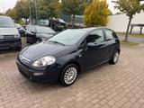 Fiat Punto Evo Active - Fiat Punto Evo Active mit Benzin-Antrieb