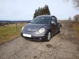 Volkswagen Sehr gepflegter VW Beetle TDI Youngtimer z... - : Youngtimer