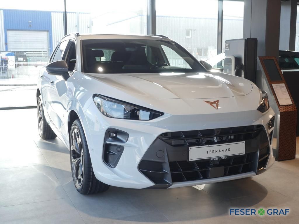 Cupra Terramar - Bild 2