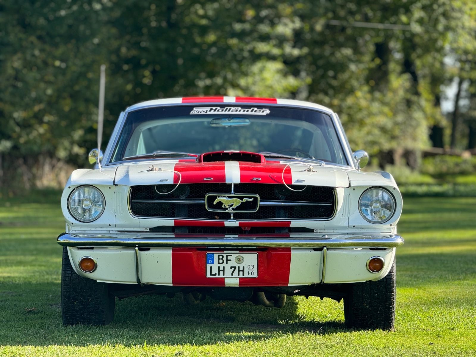 Fahrzeugabbildung Ford Mustang Fastback 4,7 V8 2+2 Fastback Pony