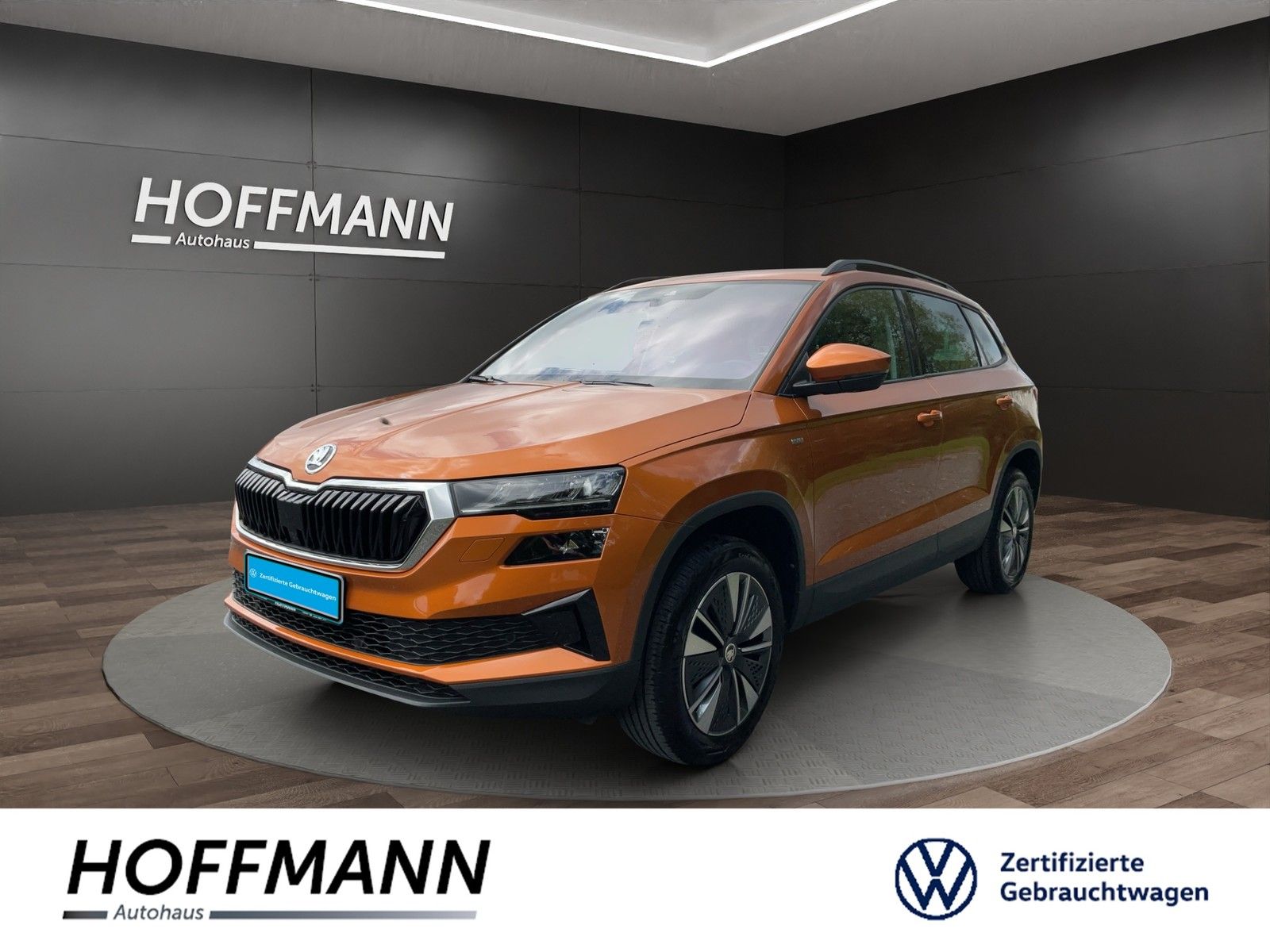 Fahrzeugbild von Skoda Karoq