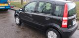 Fiat Panda 169 - Fiat Panda 169