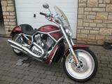 Harley-Davidson VRSC A V-Rod - 2004 V ROD