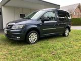 Volkswagen Caddy 1,2TSI 62kW BMT Conceptline 5-Sitzer C... - Volkswagen Caddy: Conceptline
