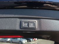 Audi S5 - Vorschau Bild 16