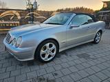 Mercedes-Benz CLK 200 K AVANTGARDE final edition / TOP/ - gebrauchte Mercedes-Benz CLK-Klasse aus dem Jahr 2003