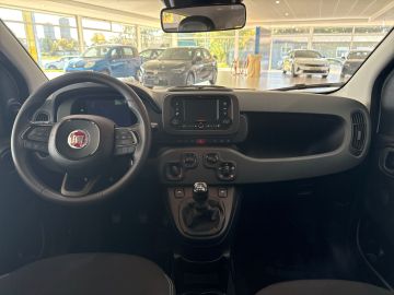 Bild 11 Fiat Panda 1.0 Mild Hybrid DAB Spurhalteass. Verkehrs