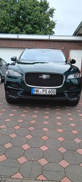 Jaguar F-Pace 20d AWD Prestige Automatik Prestige - Jaguar: Grün